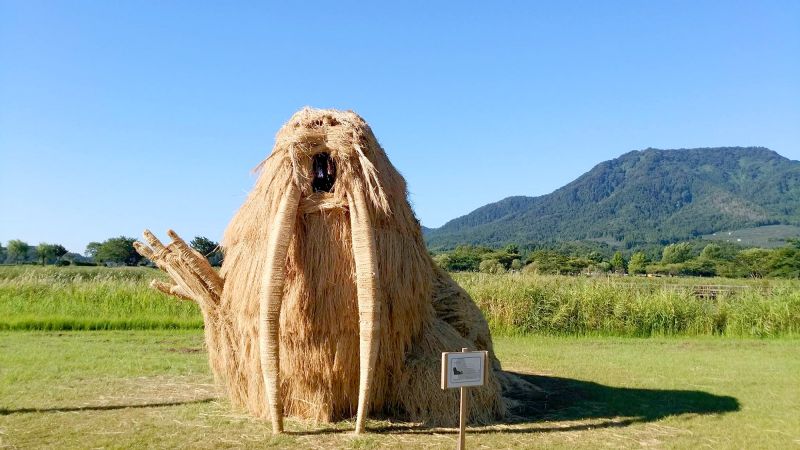 hai-ma-le-hoi-wara hai-ma-le-hoi-wara